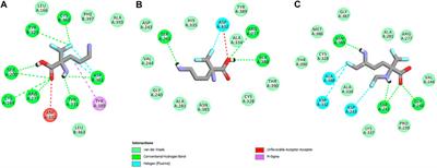 The First Insight Into the Supramolecular System of D,L-α-Difluoromethylornithine: A New Antiviral Perspective